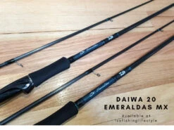 Daiwa 2020 Emeraldas MX Eging Rod -Fishing Gear Sales 2 1174aa65 c77a 4170 8915 58257837e523