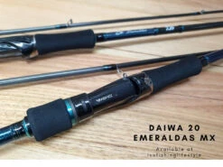 Daiwa 2020 Emeraldas MX Eging Rod -Fishing Gear Sales 3 1fcd4749 7c65 4365 ad94 af76c77cb721
