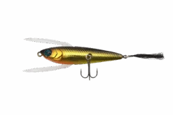 DStyle Reserve 70mm Topwater Fishing Lure -Fishing Gear Sales DStyle Reserve Topwater Lure Black Gold 9e89bd1c 3f4b 41a5 853b 63d2bf976f4b