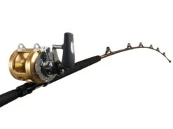 Shimano Tiagra 50 A And Backbone Elite Fully Rollered Game Combo 5'7'' 24kg 1pc 7 Shimano Tiagra 50 A And Backbone Elite Fully Rollered Game Combo 5'7'' 24kg 1pc -Fishing Gear Sales bundledtrti50sandtdbe640 3