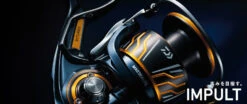 Daiwa 2020 Impult 3000SH-LBD 19 Daiwa 2020 Impult 3000SH-LBD -Fishing Gear Sales daiwa2020impult3000SH0 962a499b 8025 4188 a3f5 68157516f5a8
