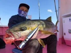 2021 CB ONE Bazoo 220mm 118g -Fishing Gear Sales image d9fedeb3 7b79 46db adbc 9f312defdbbb