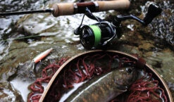 2019 Shimano Vanquish (NEW SIZES) 19 2019 Shimano Vanquish (NEW SIZES) -Fishing Gear Sales img main02