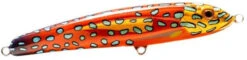 Nomad Design Riptide 200mm 90g Floating Stickbait Fishing Lure -Fishing Gear Sales rip125 ss ct 800xCTCORALTROUT 11c33c6f 07c7 4038 914a 24e0fa47ac29