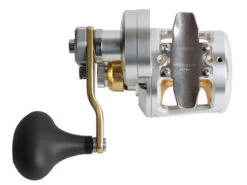 Shimano Talica 8 II 2-Speed Jigging Reel -Fishing Gear Sales trtac08 2 1