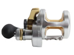 Shimano Talica 8 II 2-Speed Jigging Reel -Fishing Gear Sales trtac08 4 1
